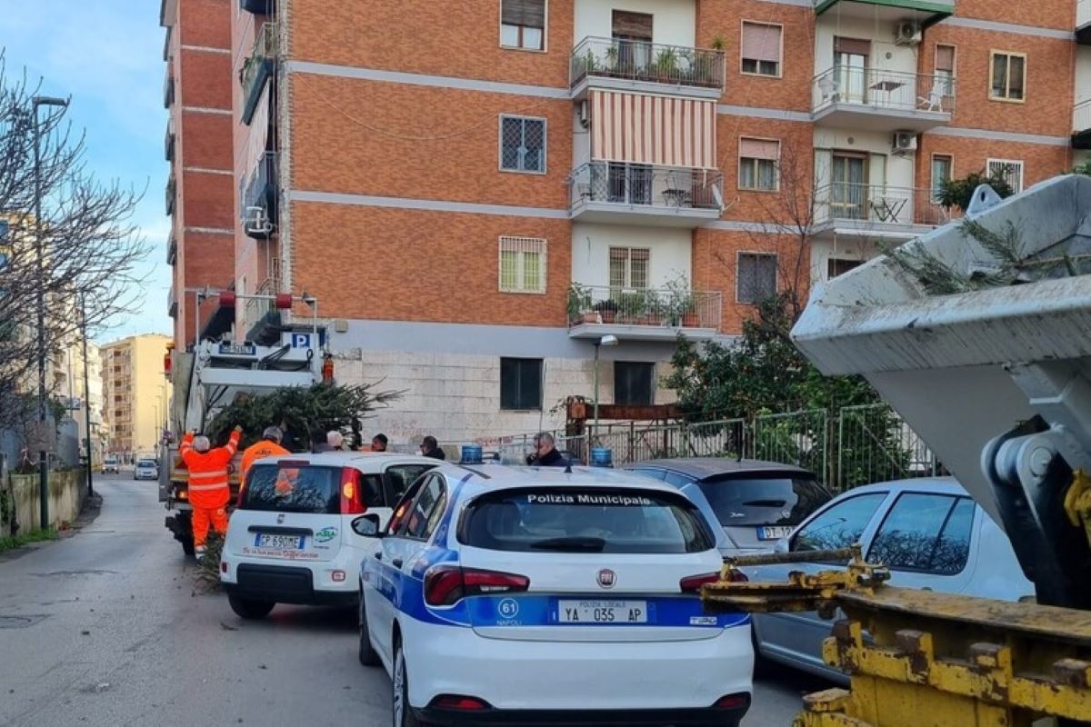 Sequestro pedane e alberi da parte polizia locale – operazione di controllo del territorio.