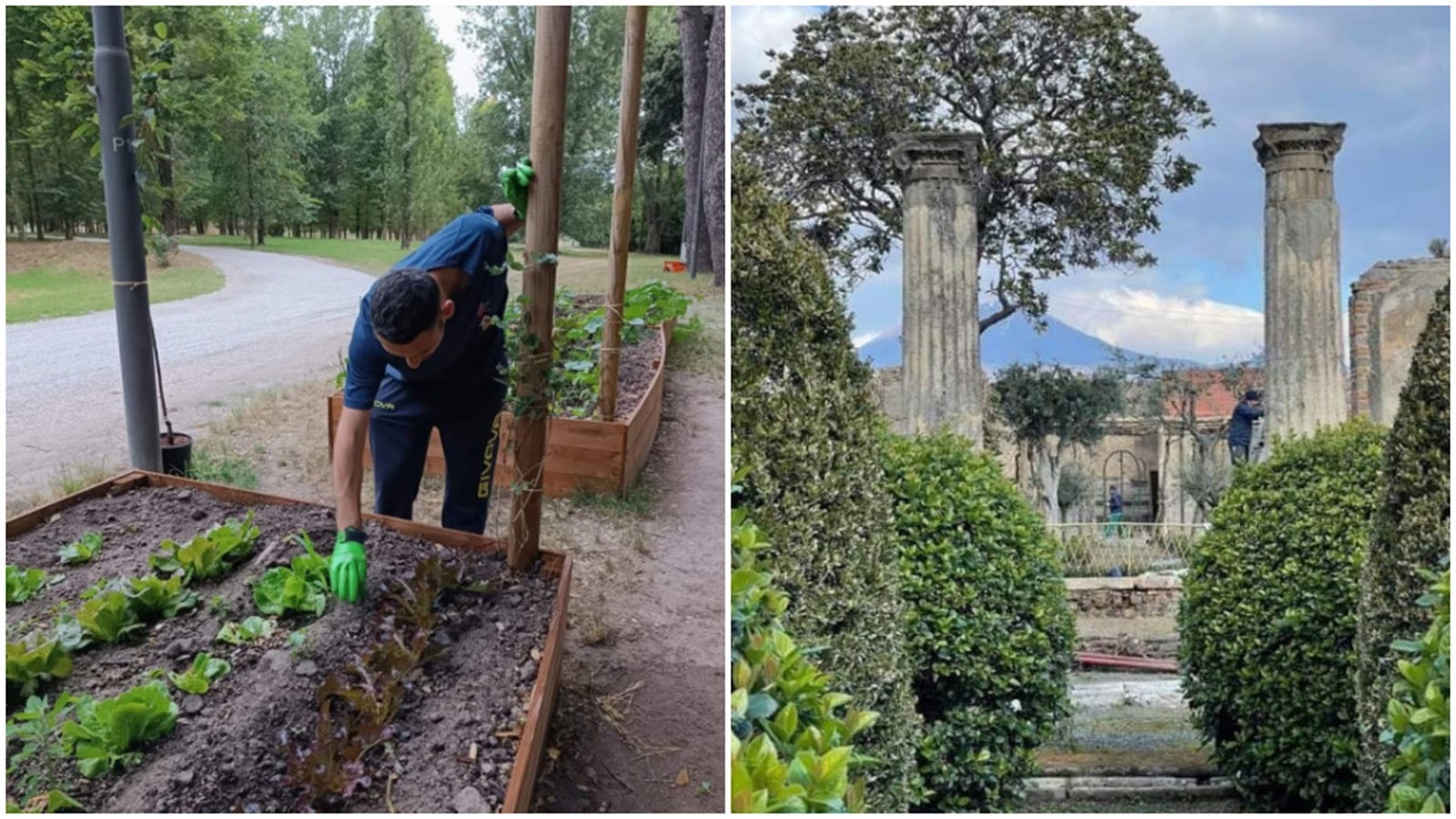 Il Parco Archeologico di Pompei vince il CITY‘SCAPE Award 2024